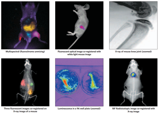 国产自拍高清图片