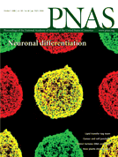 国产自拍高清图片