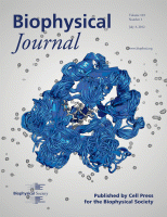 国产自拍高清图片