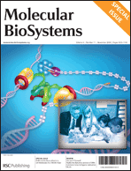 国产自拍高清图片
