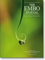 国产自拍高清图片