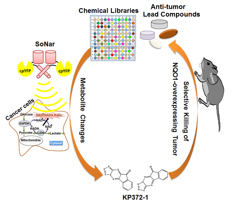 国产自拍高清图片