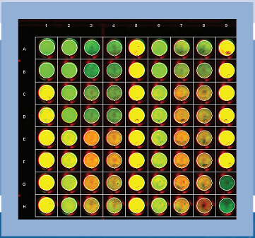 国产自拍高清图片