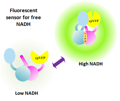 国产自拍高清图片